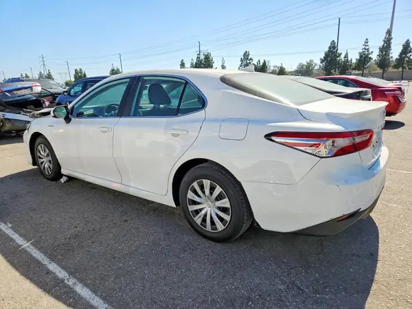 4T1B31HK8KU007099 2019 TOYOTA CAMRY - Image 2