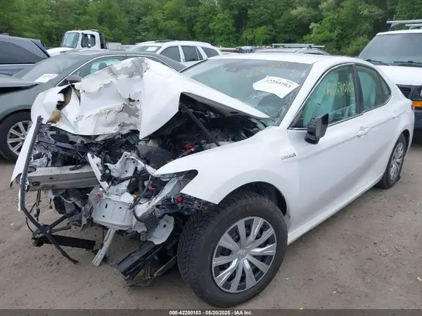 4T1B31HK8KU008558 2019 TOYOTA CAMRY - Image 2