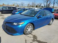 4T1B31HK8KU008592 2019 TOYOTA CAMRY