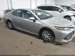 4T1B31HK8KU008804 2019 TOYOTA CAMRY