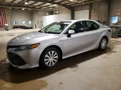 4T1B31HK8KU009046 2019 TOYOTA CAMRY