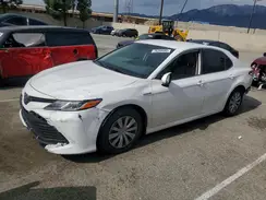 4T1B31HK8KU509465 2019 TOYOTA CAMRY