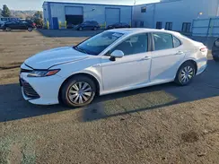 4T1B31HK8KU509840 2019 TOYOTA CAMRY