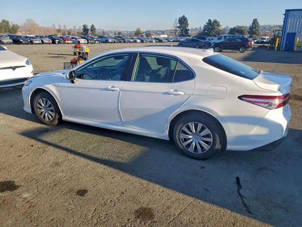 4T1B31HK8KU509840 2019 TOYOTA CAMRY - Image 2