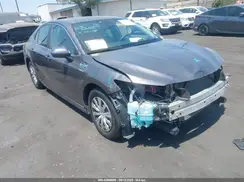 4T1B31HK8KU509949 2019 TOYOTA CAMRY