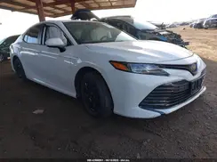 4T1B31HK8KU510678 2019 TOYOTA CAMRY