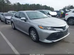 4T1B31HK8KU511295 2019 TOYOTA CAMRY