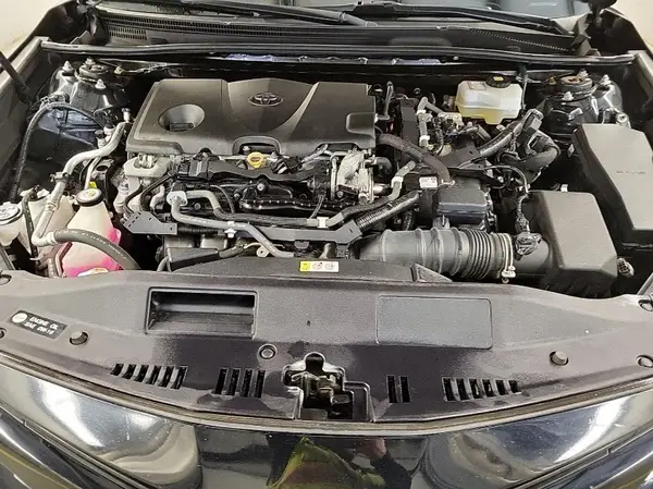 4T1B31HK8KU512060 2019 TOYOTA CAMRY - Image 2