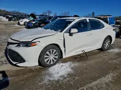 4T1B31HK8KU512124 2019 TOYOTA CAMRY