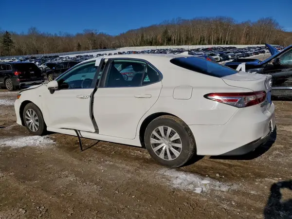 4T1B31HK8KU512124 2019 TOYOTA CAMRY - Image 2