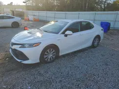 4T1B31HK8KU512205 2019 TOYOTA CAMRY