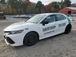 4T1B31HK8KU512320 2019 TOYOTA CAMRY