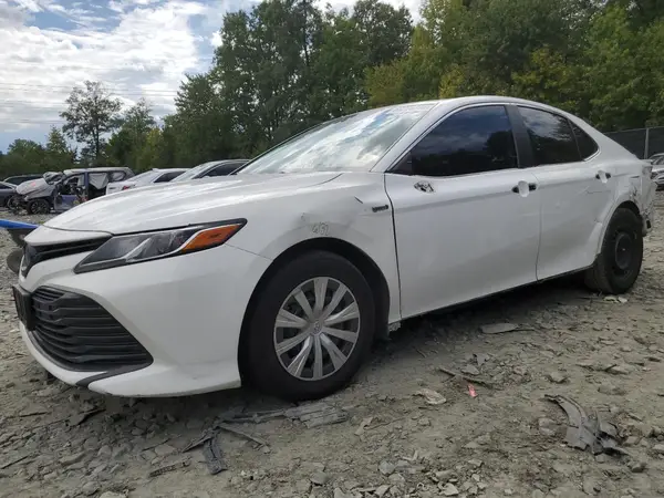 4T1B31HK8KU513208 2019 TOYOTA CAMRY - Image 1