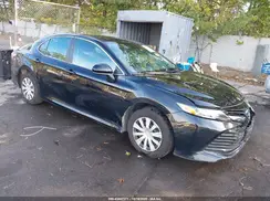 4T1B31HK8KU513421 2019 TOYOTA CAMRY