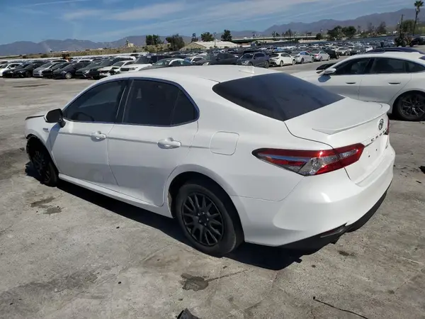 4T1B31HK8KU514567 2019 TOYOTA CAMRY - Image 2
