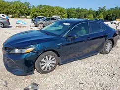 4T1B31HK8KU515167 2019 TOYOTA CAMRY