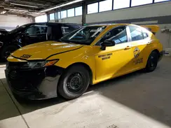 4T1B31HK8KU515184 2019 TOYOTA CAMRY