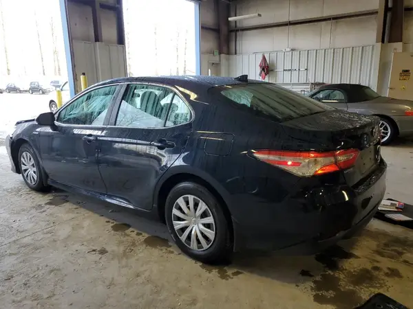 4T1B31HK8KU515394 2019 TOYOTA CAMRY - Image 2