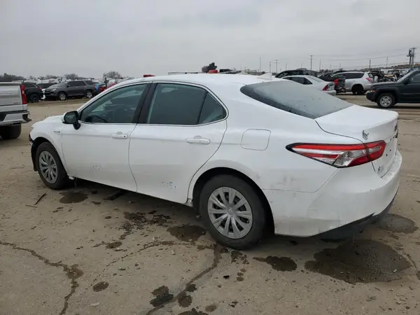 4T1B31HK8KU515637 2019 TOYOTA CAMRY - Image 2