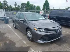 4T1B31HK8KU516092 2019 TOYOTA CAMRY