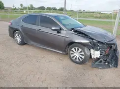 4T1B31HK8KU516352 2019 TOYOTA CAMRY