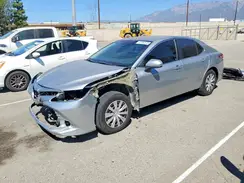 4T1B31HK8KU516836 2019 TOYOTA CAMRY