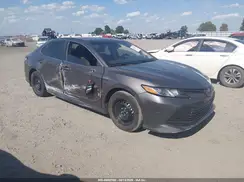 4T1B31HK8KU516920 2019 TOYOTA CAMRY