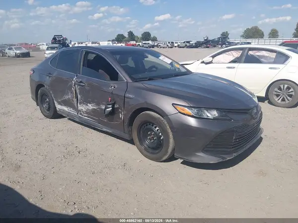 4T1B31HK8KU516920 2019 TOYOTA CAMRY - Image 1