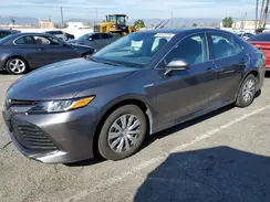 4T1B31HK8KU517971 2019 TOYOTA CAMRY