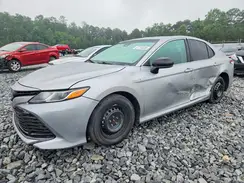 4T1B31HK9JU504175 2018 TOYOTA CAMRY