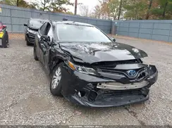 4T1B31HK9KU005135 2019 TOYOTA CAMRY