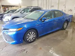 4T1B31HK9KU005877 2019 TOYOTA CAMRY