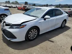 4T1B31HK9KU006785 2019 TOYOTA CAMRY