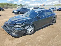 4T1B31HK9KU006866 2019 TOYOTA CAMRY