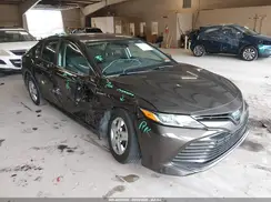 4T1B31HK9KU007029 2019 TOYOTA CAMRY