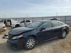 4T1B31HK9KU007189 2019 TOYOTA CAMRY