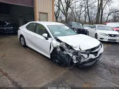 4T1B31HK9KU008696 2019 TOYOTA CAMRY