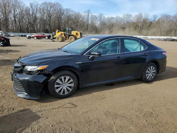 4T1B31HK9KU009007 2019 TOYOTA CAMRY - Image 1