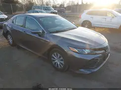 4T1B31HK9KU509121 2019 TOYOTA CAMRY