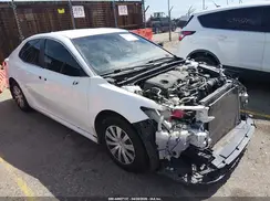 4T1B31HK9KU510060 2019 TOYOTA CAMRY