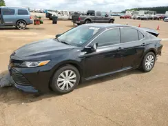 4T1B31HK9KU510513 2019 TOYOTA CAMRY