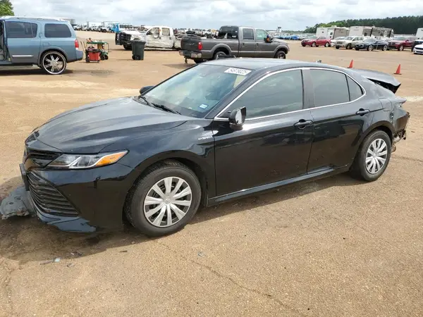 4T1B31HK9KU510513 2019 TOYOTA CAMRY - Image 1
