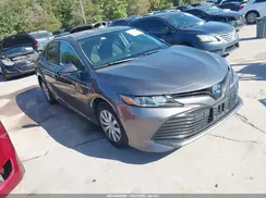 4T1B31HK9KU510852 2019 TOYOTA CAMRY