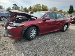 4T1B31HK9KU510978 2019 TOYOTA CAMRY