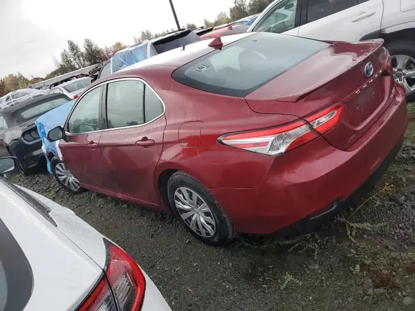 4T1B31HK9KU510978 2019 TOYOTA CAMRY - Image 2