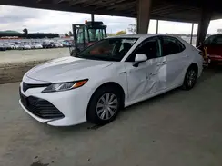 4T1B31HK9KU511029 2019 TOYOTA CAMRY