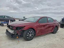 4T1B31HK9KU511144 2019 TOYOTA CAMRY