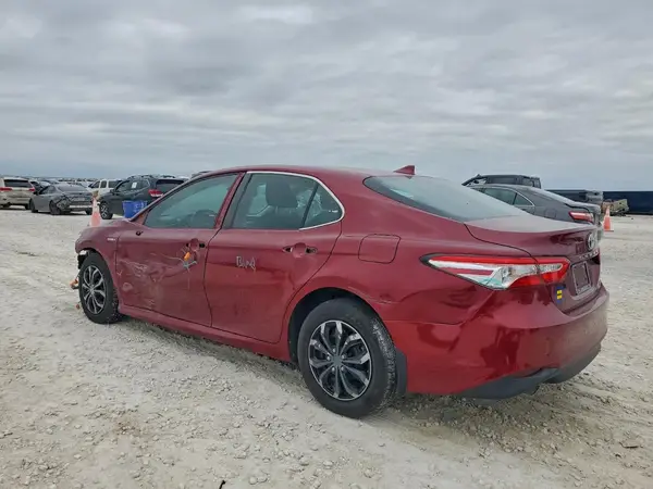 4T1B31HK9KU511144 2019 TOYOTA CAMRY - Image 2