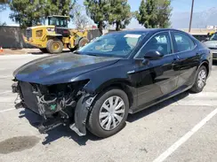 4T1B31HK9KU511418 2019 TOYOTA CAMRY