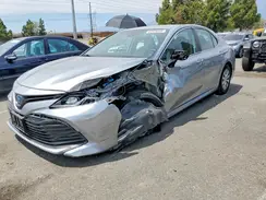 4T1B31HK9KU512360 2019 TOYOTA CAMRY